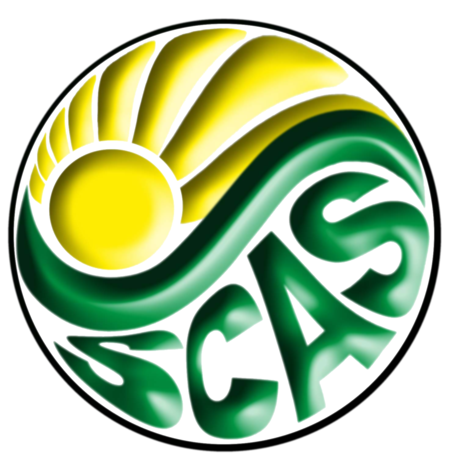 Scas Background Partners & Awards - Summit Collection & Allied Services, Inc. | Summit ...